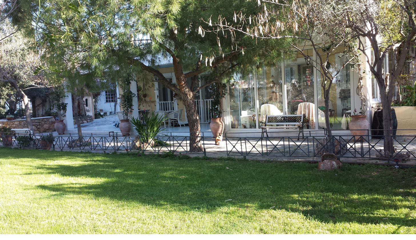The lawn and trees in front of the house